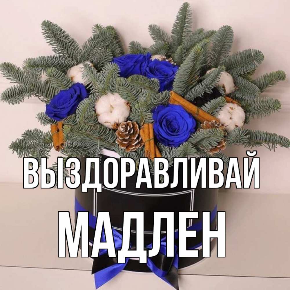Открытка на каждый день с именем, Мадлен Выздоравливай короче кто то загрузил эти шишки Прикольная открытка с пожеланием онлайн скачать бесплатно 