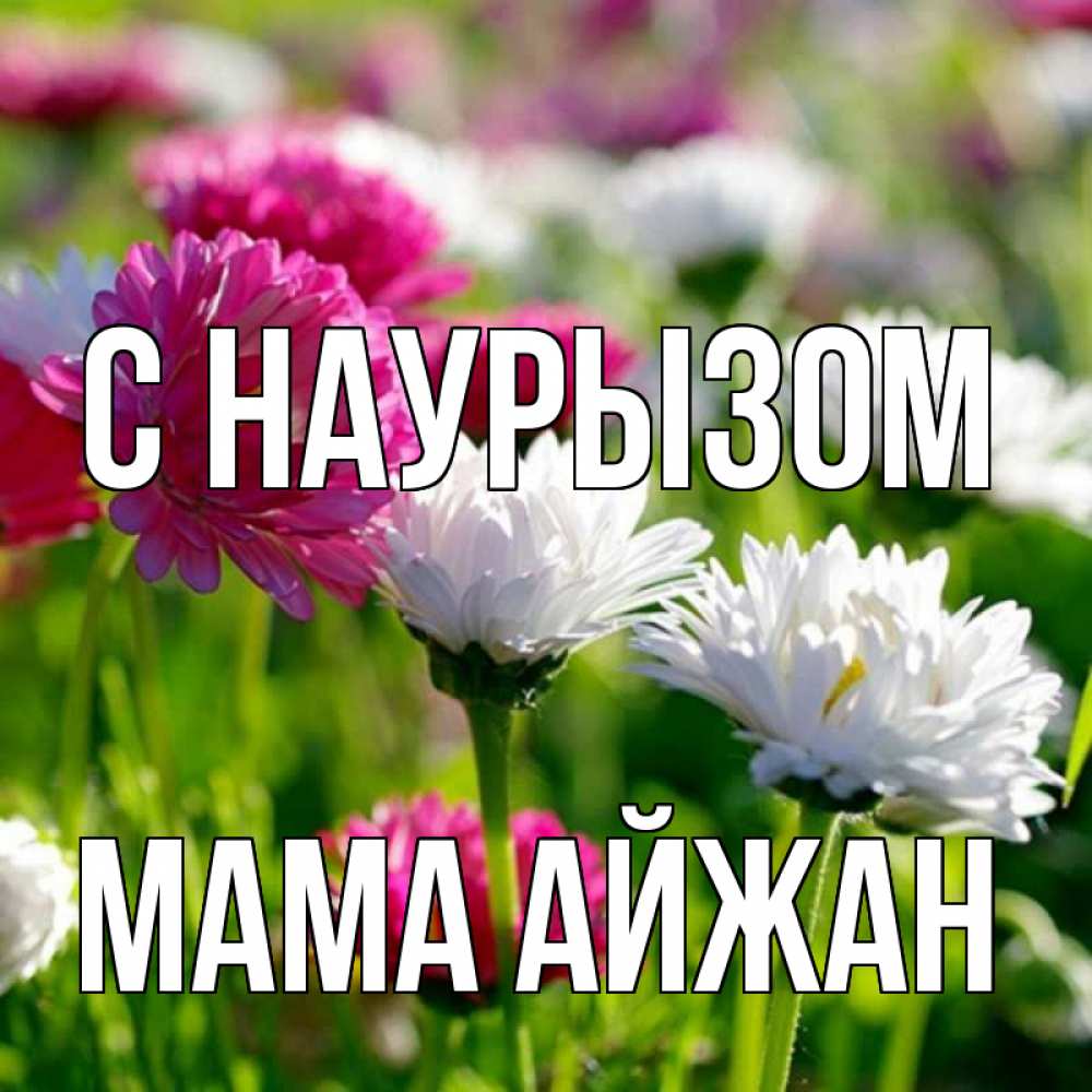 Открытка на каждый день с именем, Мама-Айжан С наурызом праздник весны наурыз красота Прикольная открытка с пожеланием онлайн скачать бесплатно 