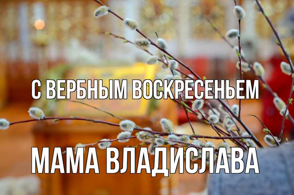 Открытка на каждый день с именем, Мама-Владислава С вербным воскресеньем верба Прикольная открытка с пожеланием онлайн скачать бесплатно 