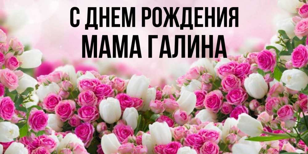 Открытка на каждый день с именем, Мама-Галина С днем рождения открытка с разными розами Прикольная открытка с пожеланием онлайн скачать бесплатно 
