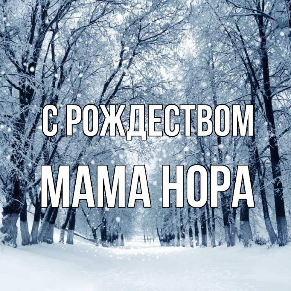 Открытка на каждый день с именем, Мама-Нора С рождеством снег, лес, парк Прикольная открытка с пожеланием онлайн скачать бесплатно 