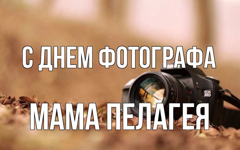 Открытка на каждый день с именем, Мама-Пелагея С днем фотографа с днем фотографа Прикольная открытка с пожеланием онлайн скачать бесплатно 