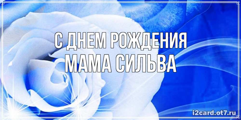 Открытка на каждый день с именем, Мама-Сильва С днем рождения белая роза на голубом фоне Прикольная открытка с пожеланием онлайн скачать бесплатно 