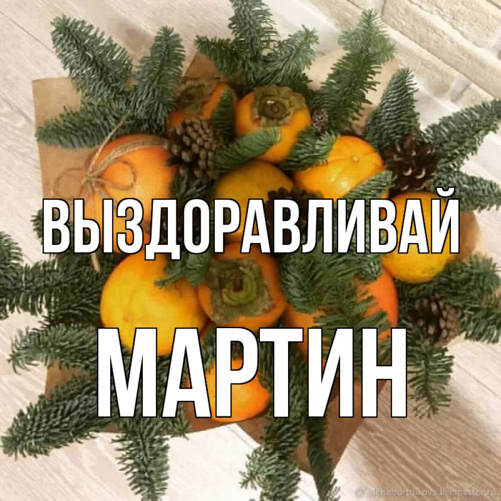 Открытка на каждый день с именем, Мартин Выздоравливай апельсины и хурьма Прикольная открытка с пожеланием онлайн скачать бесплатно 