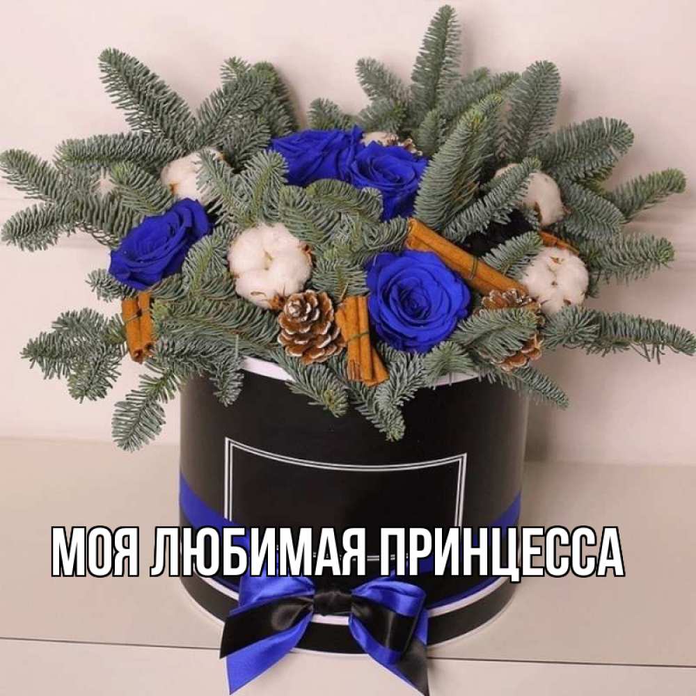 Открытка на каждый день с именем, Моя-Любимая-Принцесса Главная короче кто то загрузил эти шишки Прикольная открытка с пожеланием онлайн скачать бесплатно 