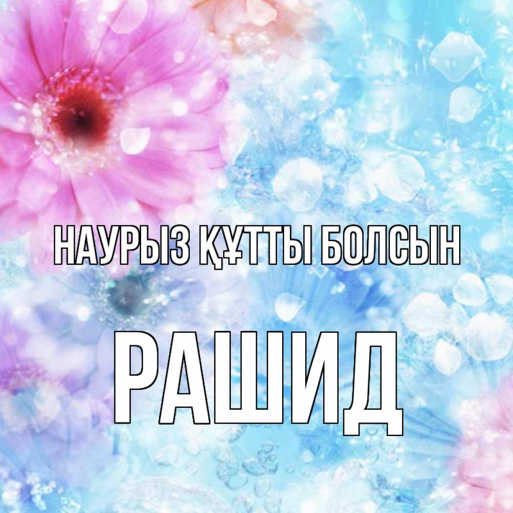 Открытка на каждый день с именем, Рашид Наурыз құтты болсын цветы Прикольная открытка с пожеланием онлайн скачать бесплатно 