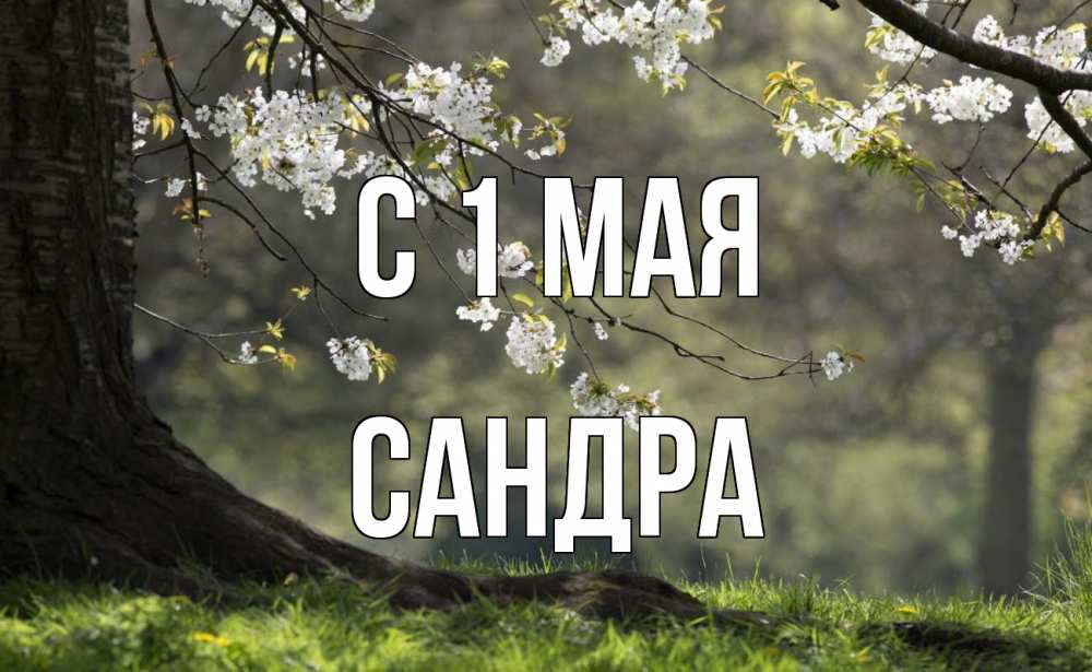 Открытка на каждый день с именем, Сандра С 1 мая С 1 мая Прикольная открытка с пожеланием онлайн скачать бесплатно 