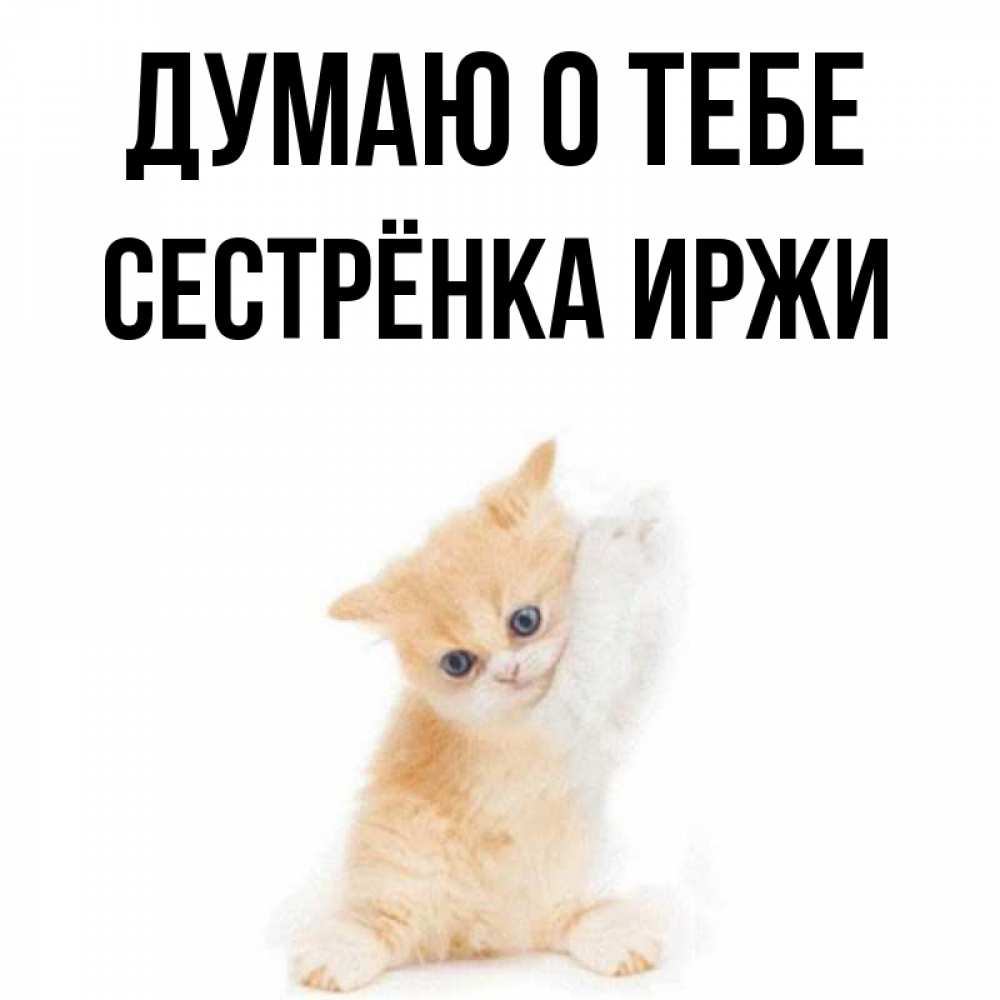 Открытка на каждый день с именем, Сестрёнка-Иржи Думаю о тебе зверушки и милота Прикольная открытка с пожеланием онлайн скачать бесплатно 