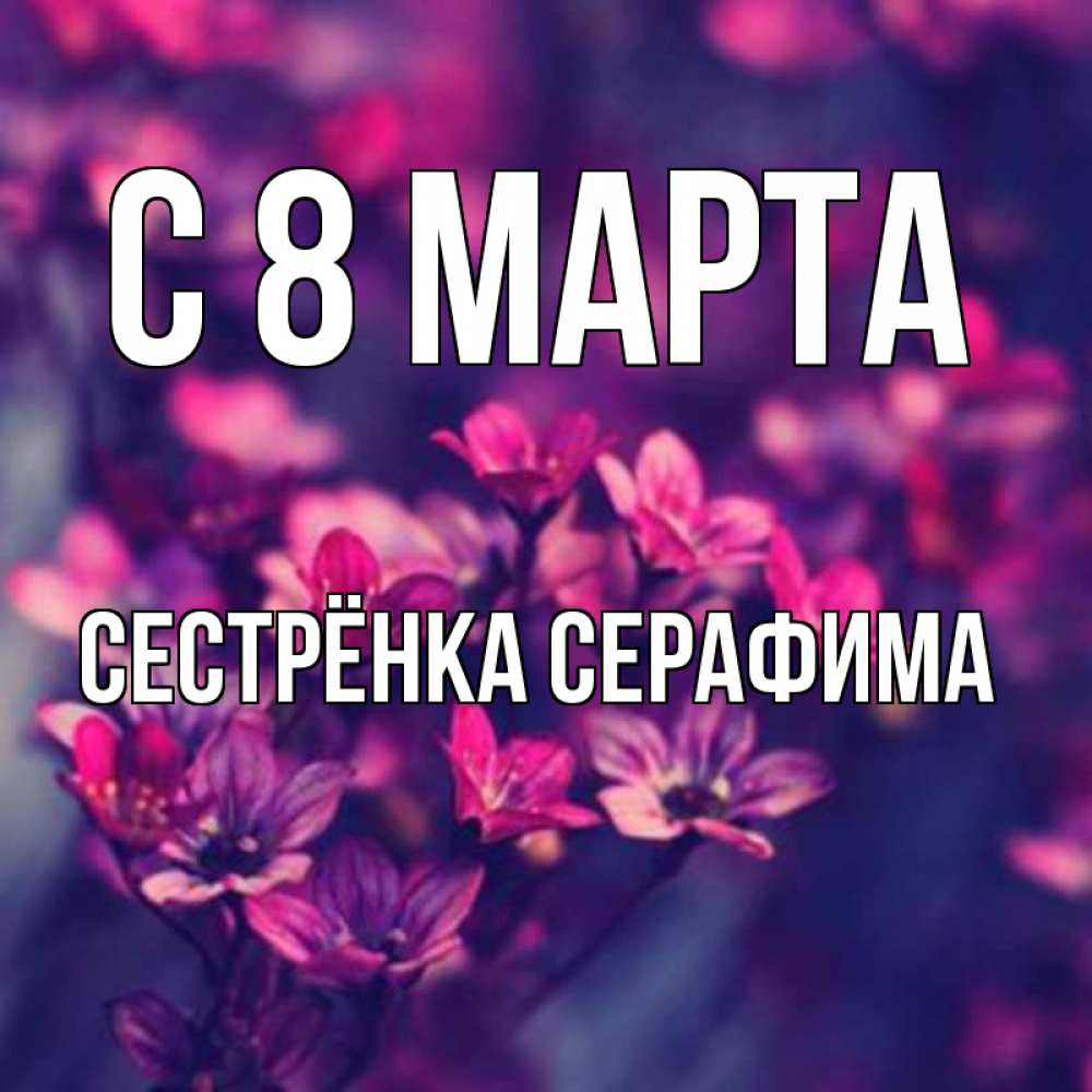 Открытка на каждый день с именем, Сестрёнка-Серафима С 8 МАРТА небольшие цветы 1 Прикольная открытка с пожеланием онлайн скачать бесплатно 