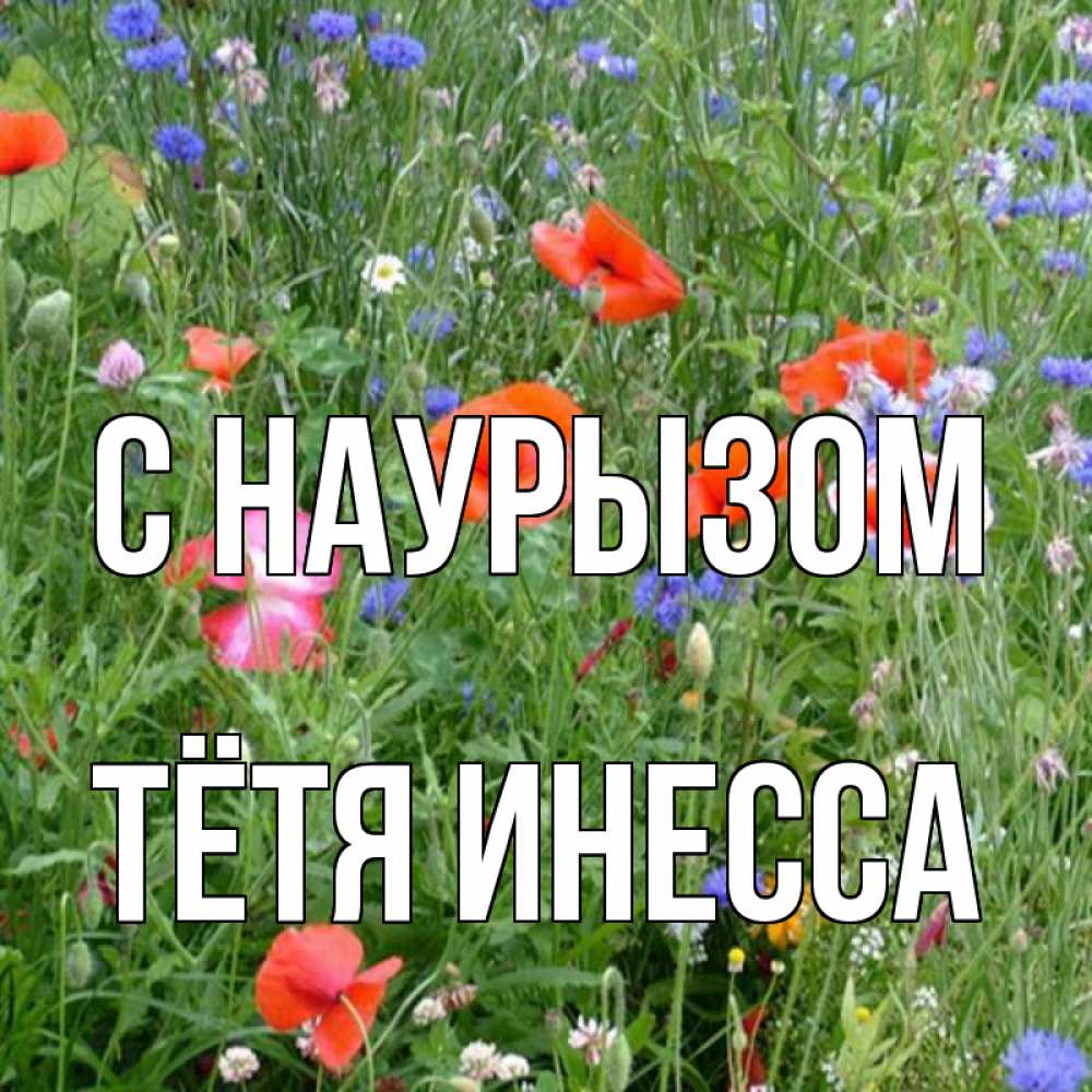 Открытка на каждый день с именем, Тётя-Инесса С наурызом праздник весны наурыз супер открытка Прикольная открытка с пожеланием онлайн скачать бесплатно 