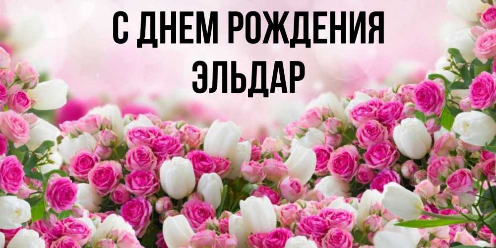 Открытка на каждый день с именем, Эльдар С днем рождения открытка с разными розами Прикольная открытка с пожеланием онлайн скачать бесплатно 