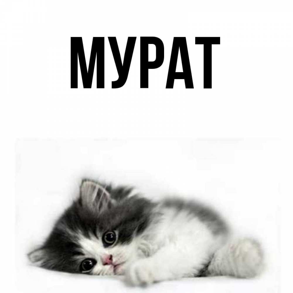 Картинки с именем ханифа. Значение имени ханиф. Ханифа картинка. Имя ханифа. Картинки с именем рамиль.