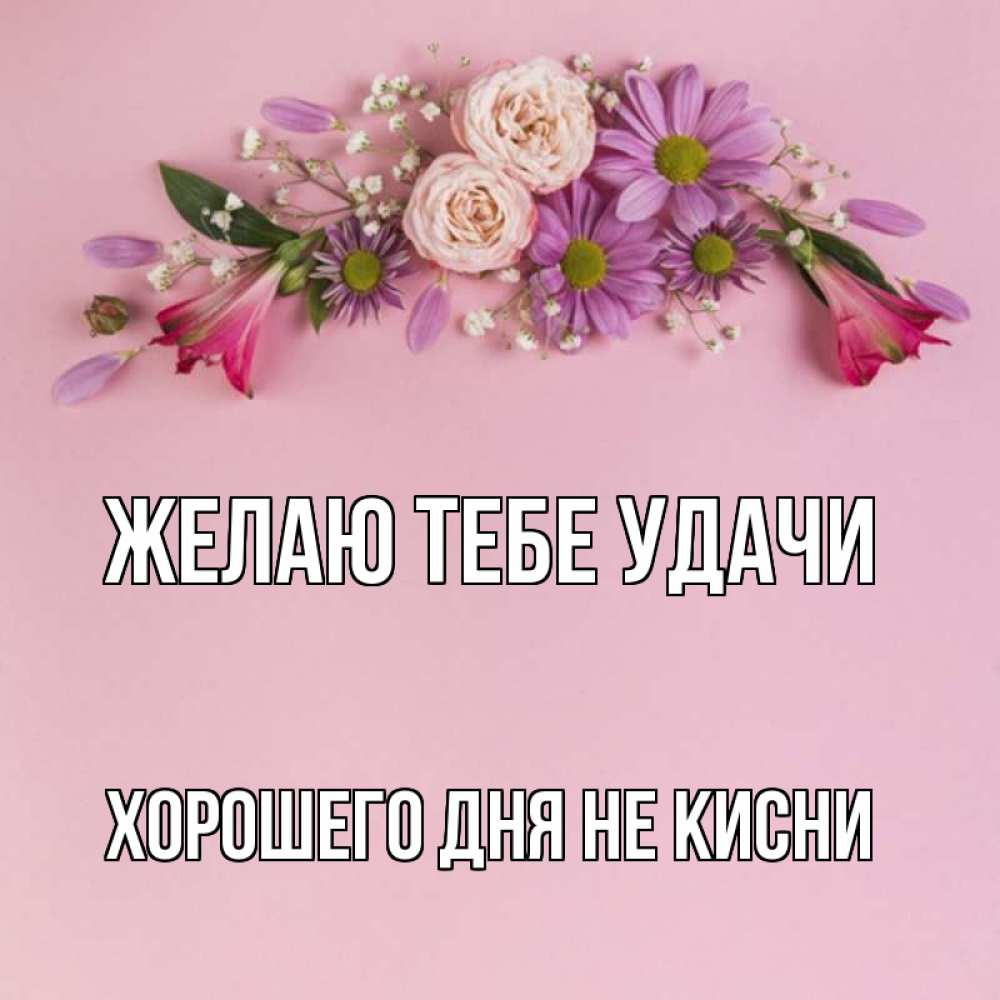 Не кисни картинки