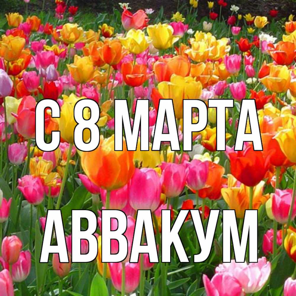 Открытка на каждый день с именем, Аввакум С 8 МАРТА на международный женский день Прикольная открытка с пожеланием онлайн скачать бесплатно 