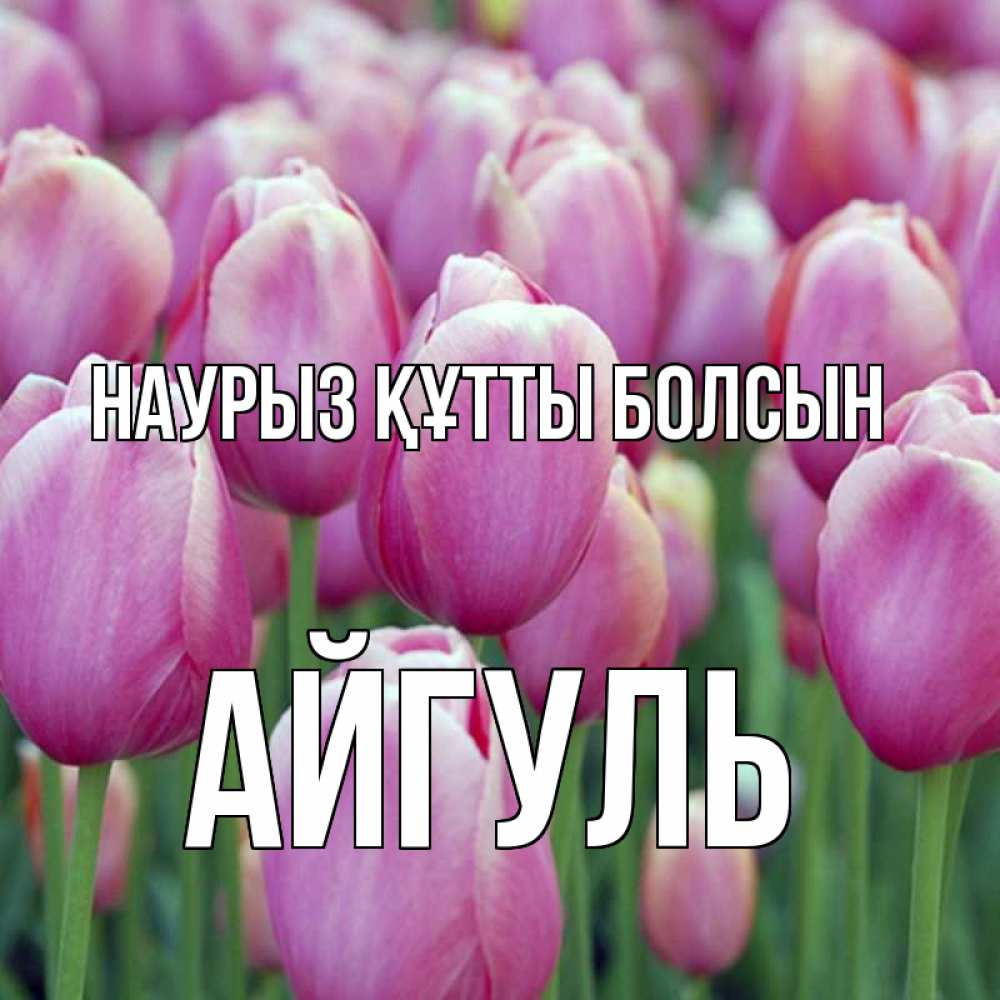 Открытка на каждый день с именем, Айгуль Наурыз құтты болсын на наурыз  день 3 Прикольная открытка с пожеланием онлайн скачать бесплатно 