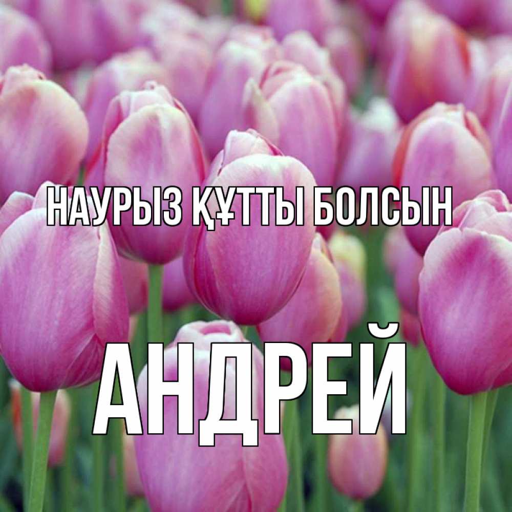 Открытка на каждый день с именем, Андрей Наурыз құтты болсын на наурыз  день 3 Прикольная открытка с пожеланием онлайн скачать бесплатно 