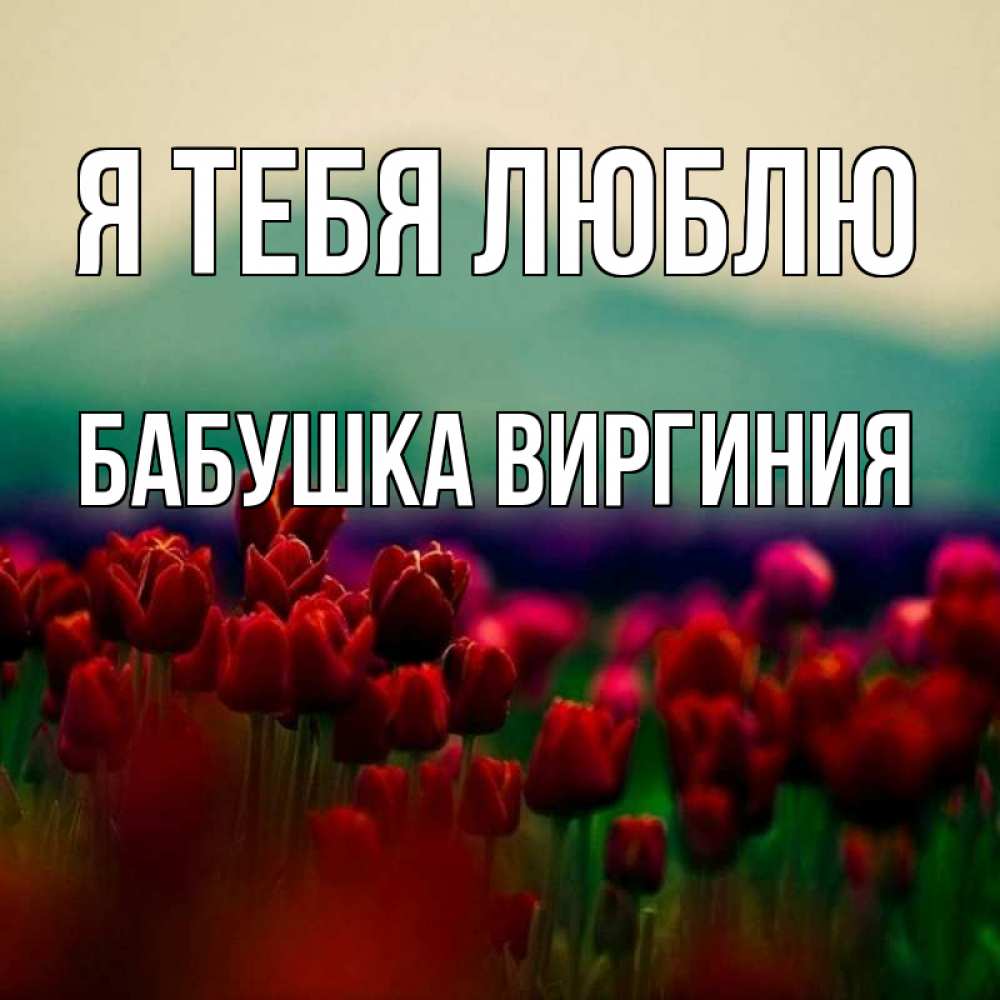 Открытка на каждый день с именем, Бабушка-Виргиния Я тебя люблю тюльпаны 4 Прикольная открытка с пожеланием онлайн скачать бесплатно 