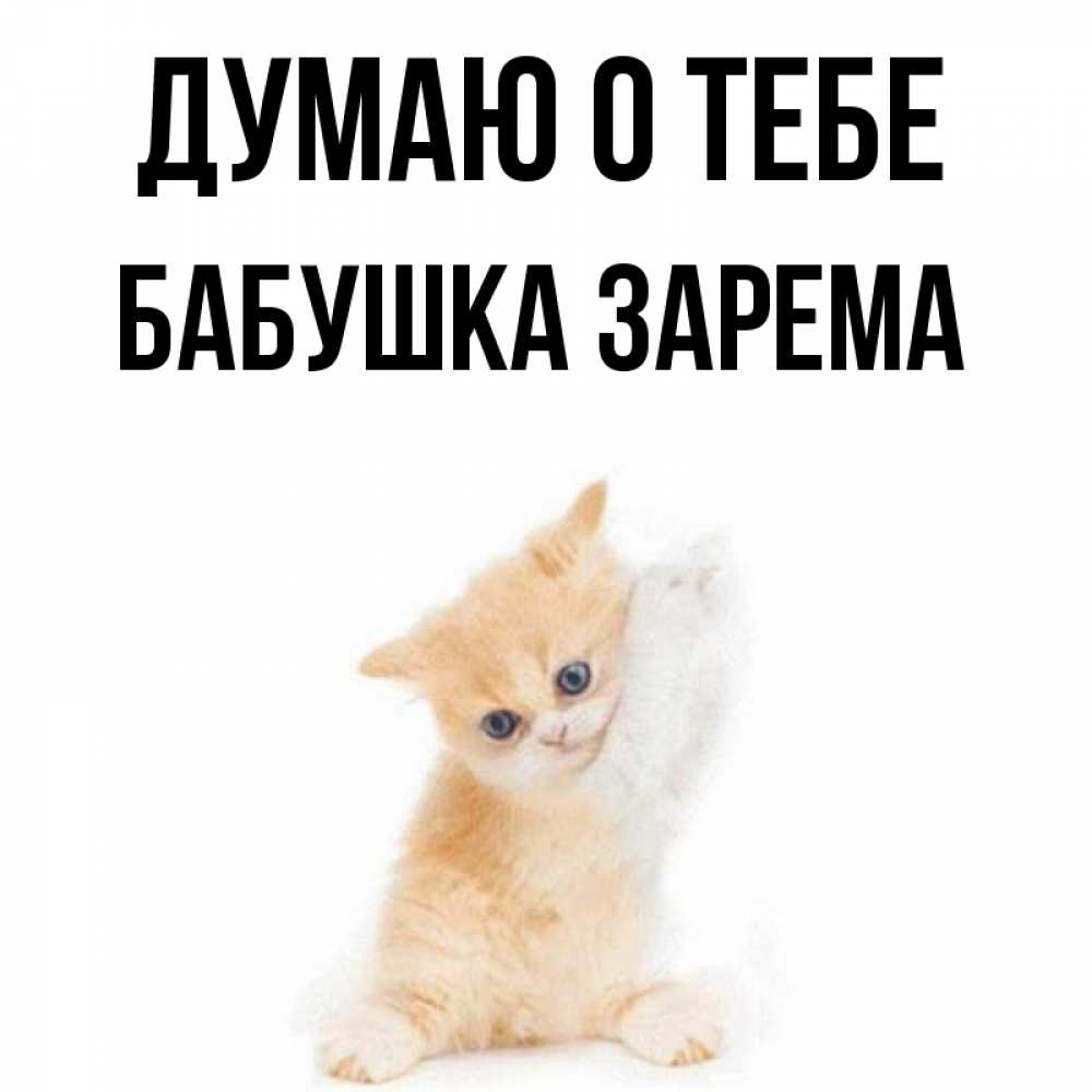 Открытка на каждый день с именем, Бабушка-Зарема Думаю о тебе зверушки и милота Прикольная открытка с пожеланием онлайн скачать бесплатно 