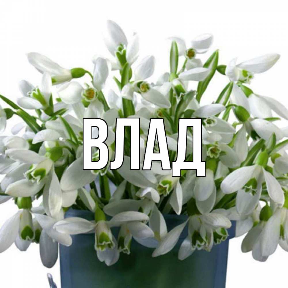 Открытка на каждый день с именем, Влад Главная цветы к наурызу Прикольная открытка с пожеланием онлайн скачать бесплатно 