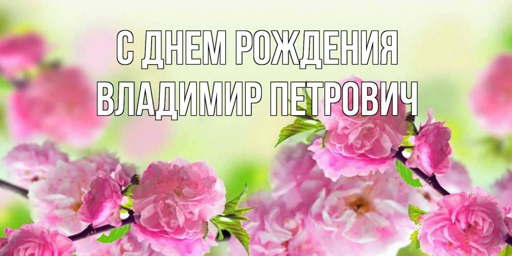 Открытка на каждый день с именем, Владимир-Петрович С днем рождения веточки с цветками Прикольная открытка с пожеланием онлайн скачать бесплатно 