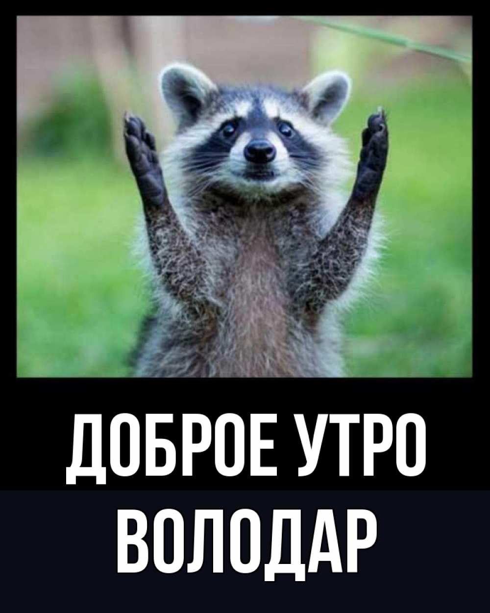 Открытка на каждый день с именем, Володар Доброе утро хорошее настроение утречком Прикольная открытка с пожеланием онлайн скачать бесплатно 