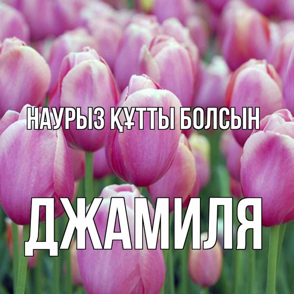 Открытка на каждый день с именем, Джамиля Наурыз құтты болсын на наурыз  день 3 Прикольная открытка с пожеланием онлайн скачать бесплатно 