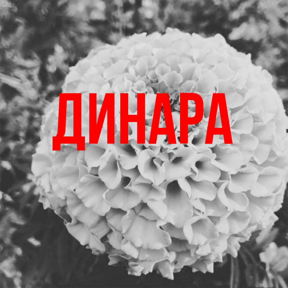 Открытка на каждый день с именем, Динара Главная подпись Прикольная открытка с пожеланием онлайн скачать бесплатно 