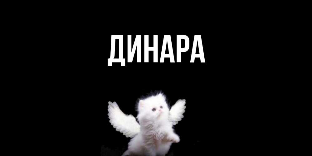 Открытка на каждый день с именем, Динара Главная Кот ангел Прикольная открытка с пожеланием онлайн скачать бесплатно 