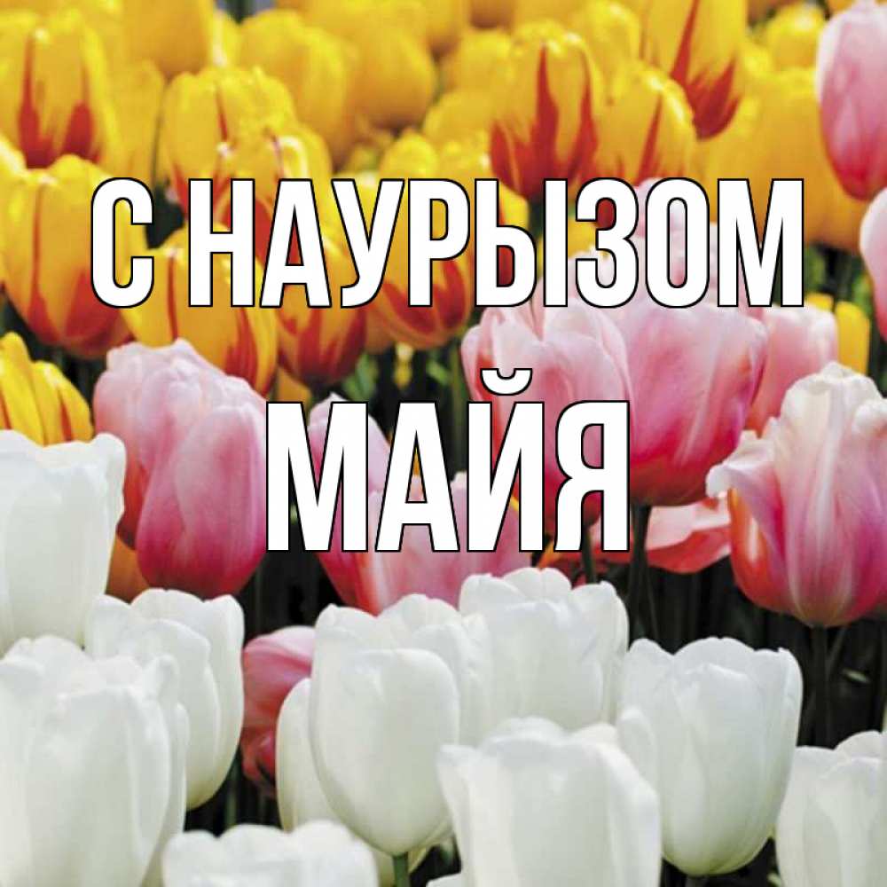 Открытка на каждый день с именем, Майя С наурызом разноцветные цветы Прикольная открытка с пожеланием онлайн скачать бесплатно 