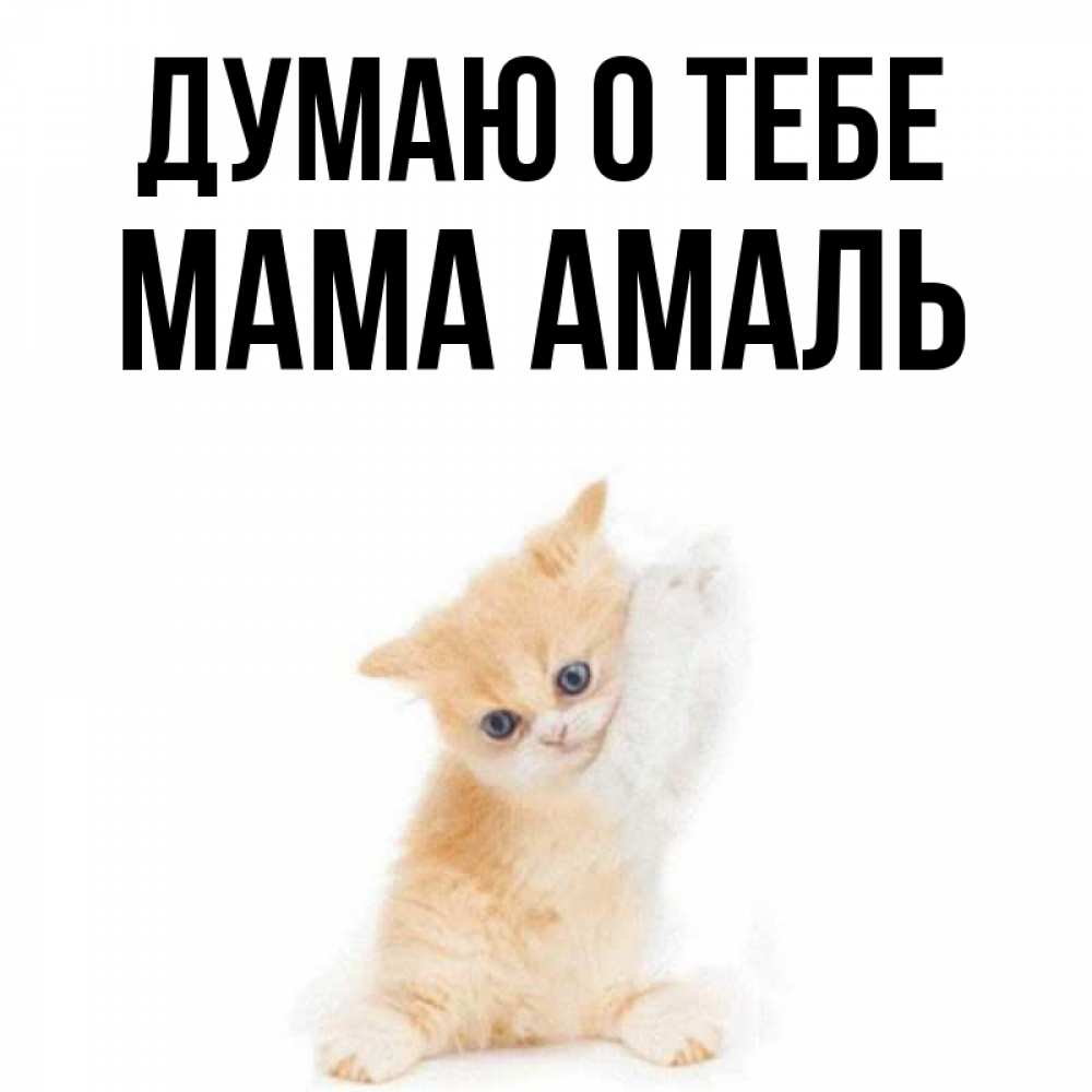 Открытка на каждый день с именем, Мама-Амаль Думаю о тебе зверушки и милота Прикольная открытка с пожеланием онлайн скачать бесплатно 