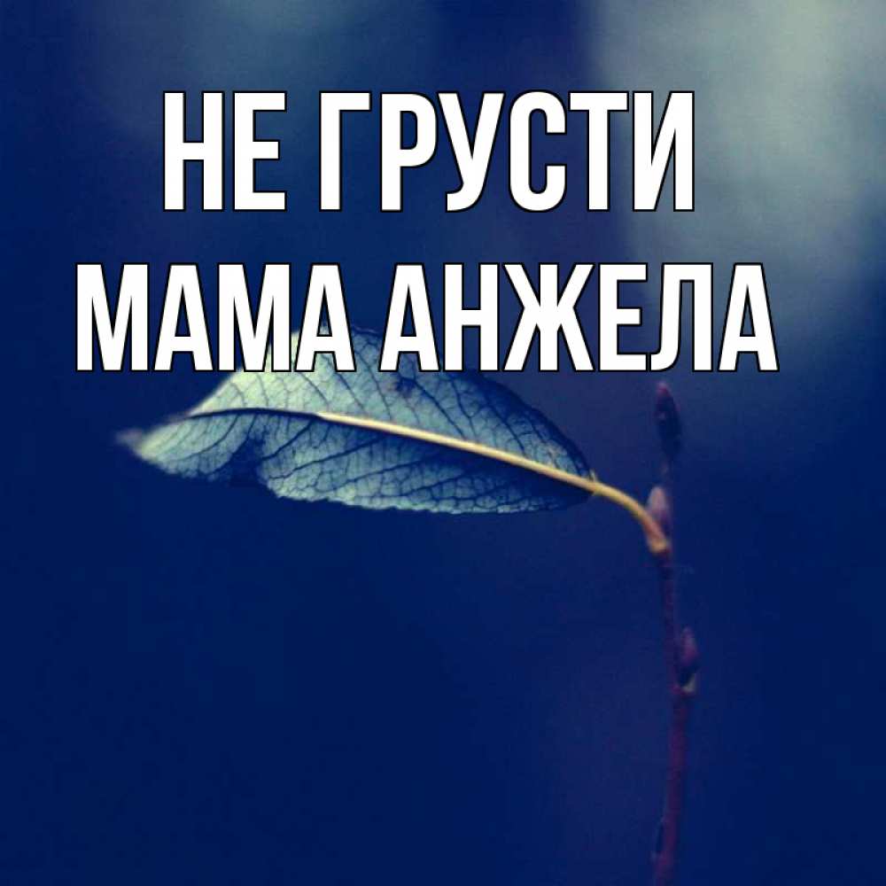 Открытка на каждый день с именем, Мама-Анжела Не грусти растение Прикольная открытка с пожеланием онлайн скачать бесплатно 