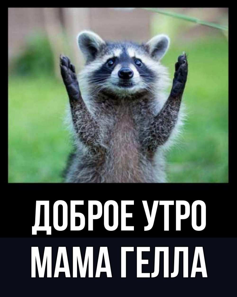 Открытка на каждый день с именем, Мама-Гелла Доброе утро хорошее настроение утречком Прикольная открытка с пожеланием онлайн скачать бесплатно 