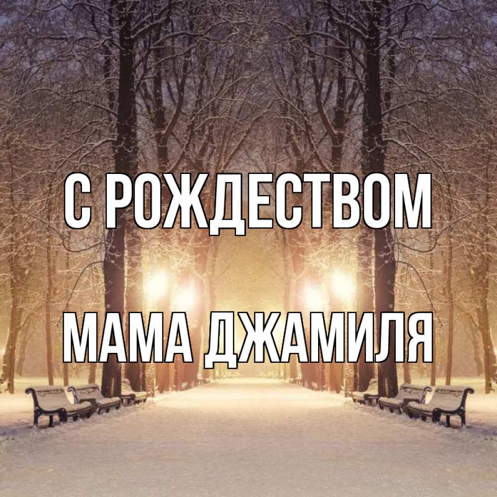 Открытка на каждый день с именем, Мама-Джамиля С рождеством зима, парк, фонарь, лес Прикольная открытка с пожеланием онлайн скачать бесплатно 