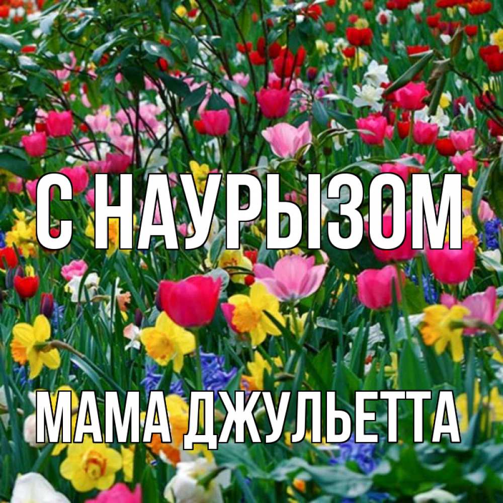 Открытка на каждый день с именем, Мама-Джульетта С наурызом с наурызом праздником весны поздравления для женщины Прикольная открытка с пожеланием онлайн скачать бесплатно 