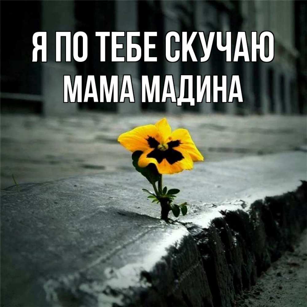 Открытка на каждый день с именем, Мама-Мадина Я по тебе скучаю надеюсь будет лучше Прикольная открытка с пожеланием онлайн скачать бесплатно 