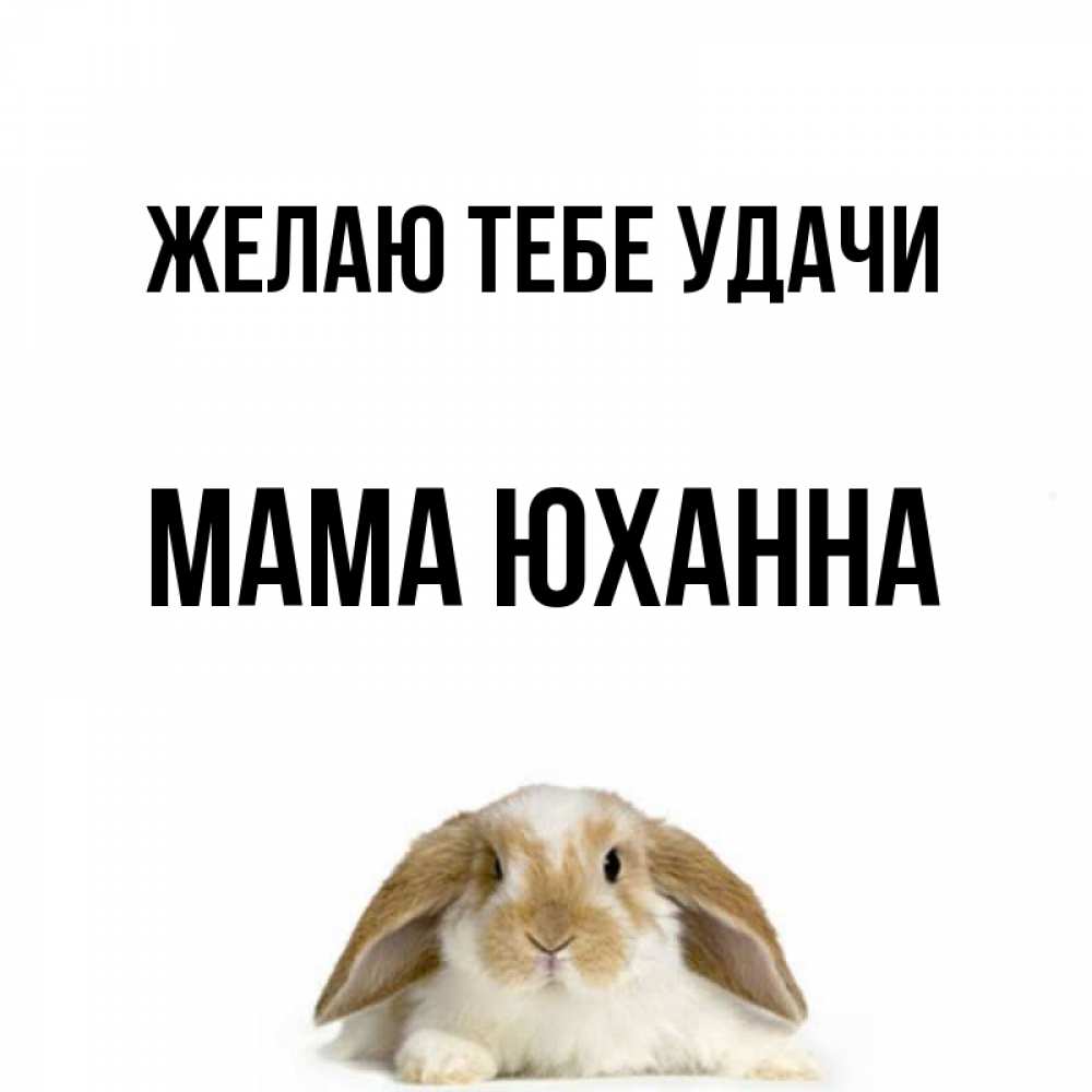 Открытка на каждый день с именем, Мама-Юханна Желаю тебе удачи открытки с произвольным текстом который можно вставить в открытку и создать ее самостоятельно бесплатно онлайн Прикольная открытка с пожеланием онлайн скачать бесплатно 