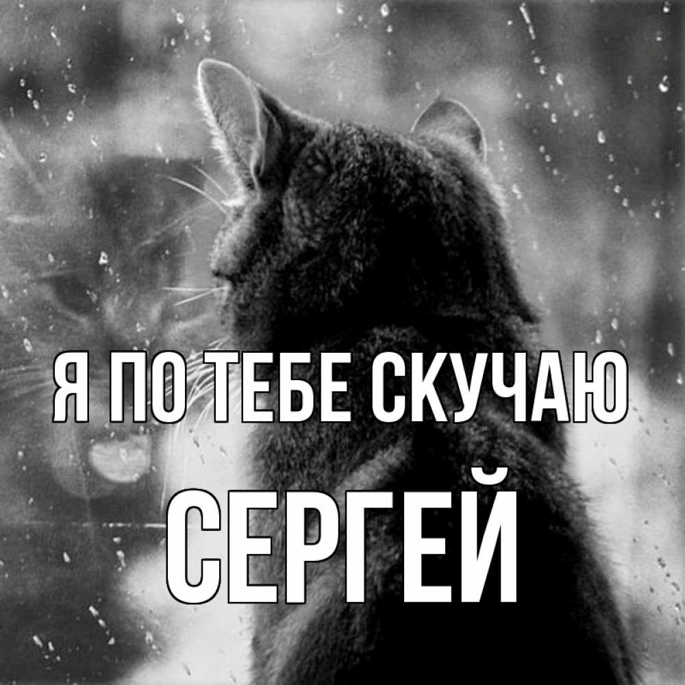 Открытка на каждый день с именем, Сергей Я по тебе скучаю скорее ко мне приходи 1 Прикольная открытка с пожеланием онлайн скачать бесплатно 