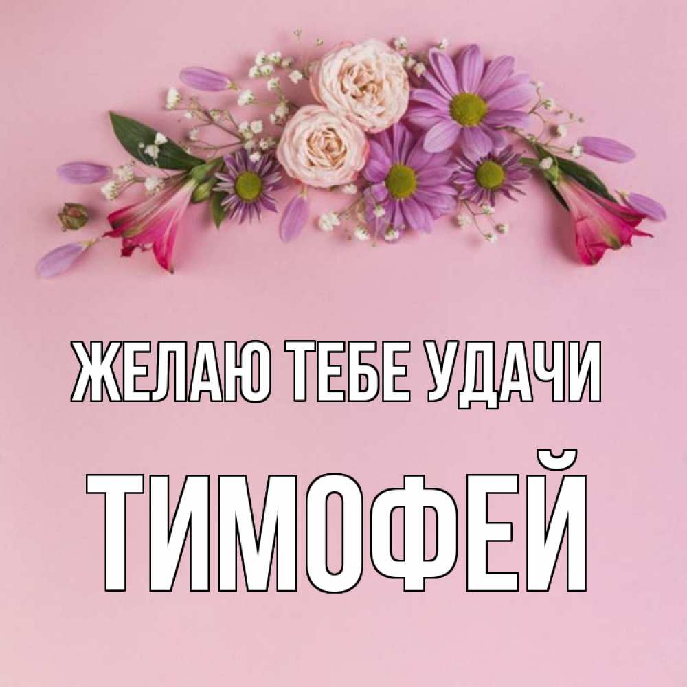 Открытка на каждый день с именем, Тимофей Желаю тебе удачи розовый фон Прикольная открытка с пожеланием онлайн скачать бесплатно 