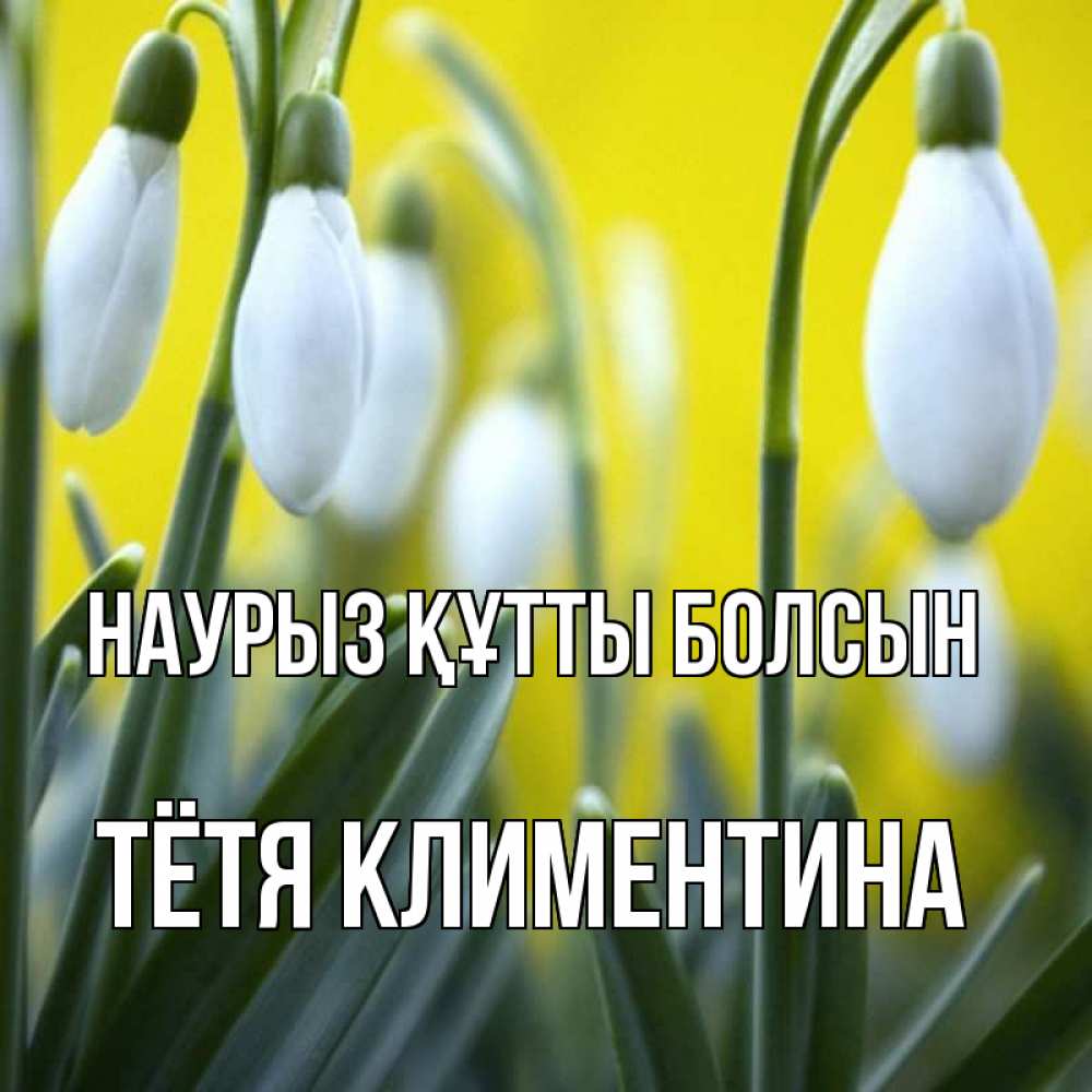 Открытка на каждый день с именем, Тётя-Климентина Наурыз құтты болсын весенние цветы Прикольная открытка с пожеланием онлайн скачать бесплатно 