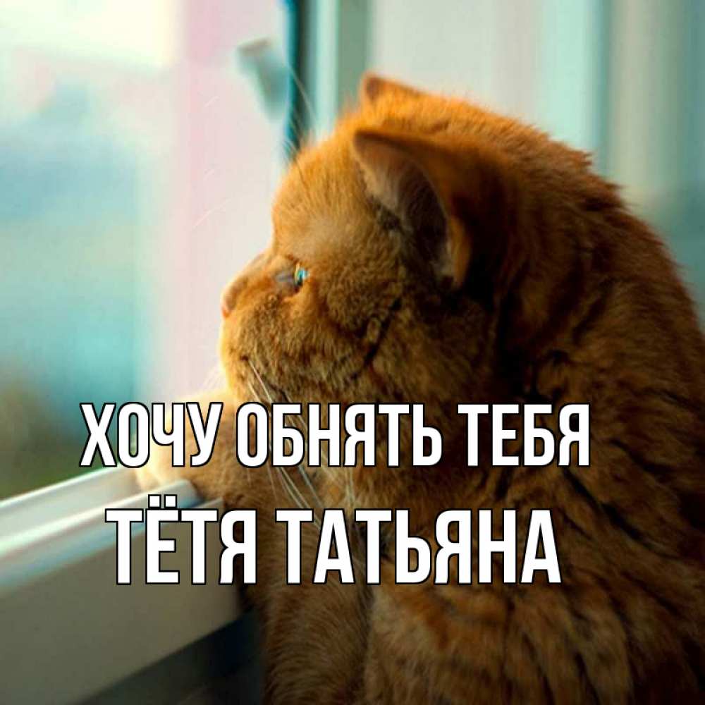 Открытка на каждый день с именем, Тётя-Татьяна Хочу обнять тебя большой огромный рыжий котяра Прикольная открытка с пожеланием онлайн скачать бесплатно 