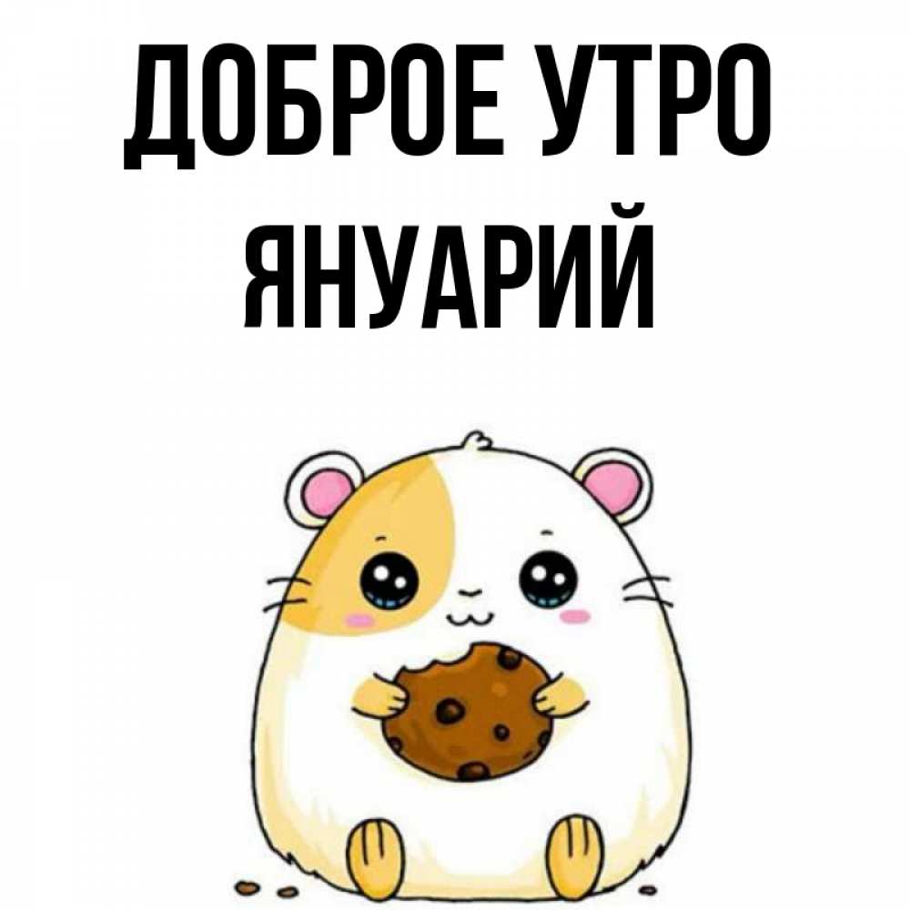 Открытка на каждый день с именем, Януарий Доброе утро есть печеньку. Утречко Прикольная открытка с пожеланием онлайн скачать бесплатно 