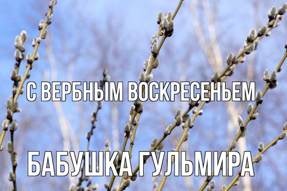 Открытка на каждый день с именем, Бабушка-Гульмира С вербным воскресеньем верба Прикольная открытка с пожеланием онлайн скачать бесплатно 