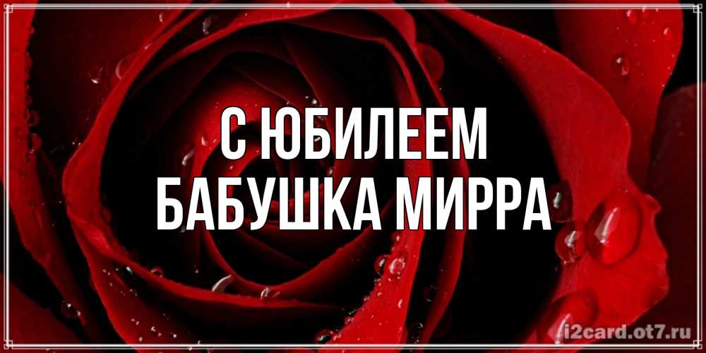 Открытка на каждый день с именем, Бабушка-Мирра С юбилеем крупная бордовая роза Прикольная открытка с пожеланием онлайн скачать бесплатно 