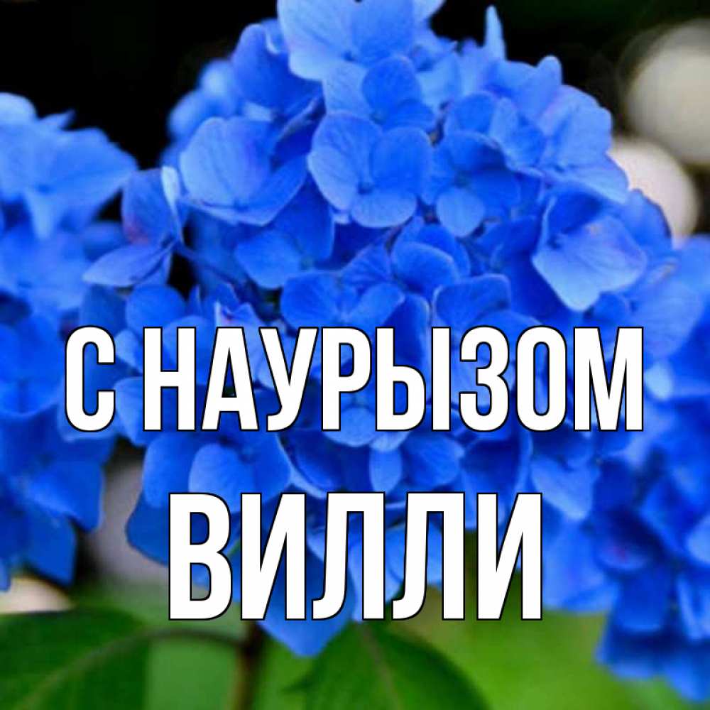Открытка на каждый день с именем, Вилли С наурызом синие цветы Прикольная открытка с пожеланием онлайн скачать бесплатно 