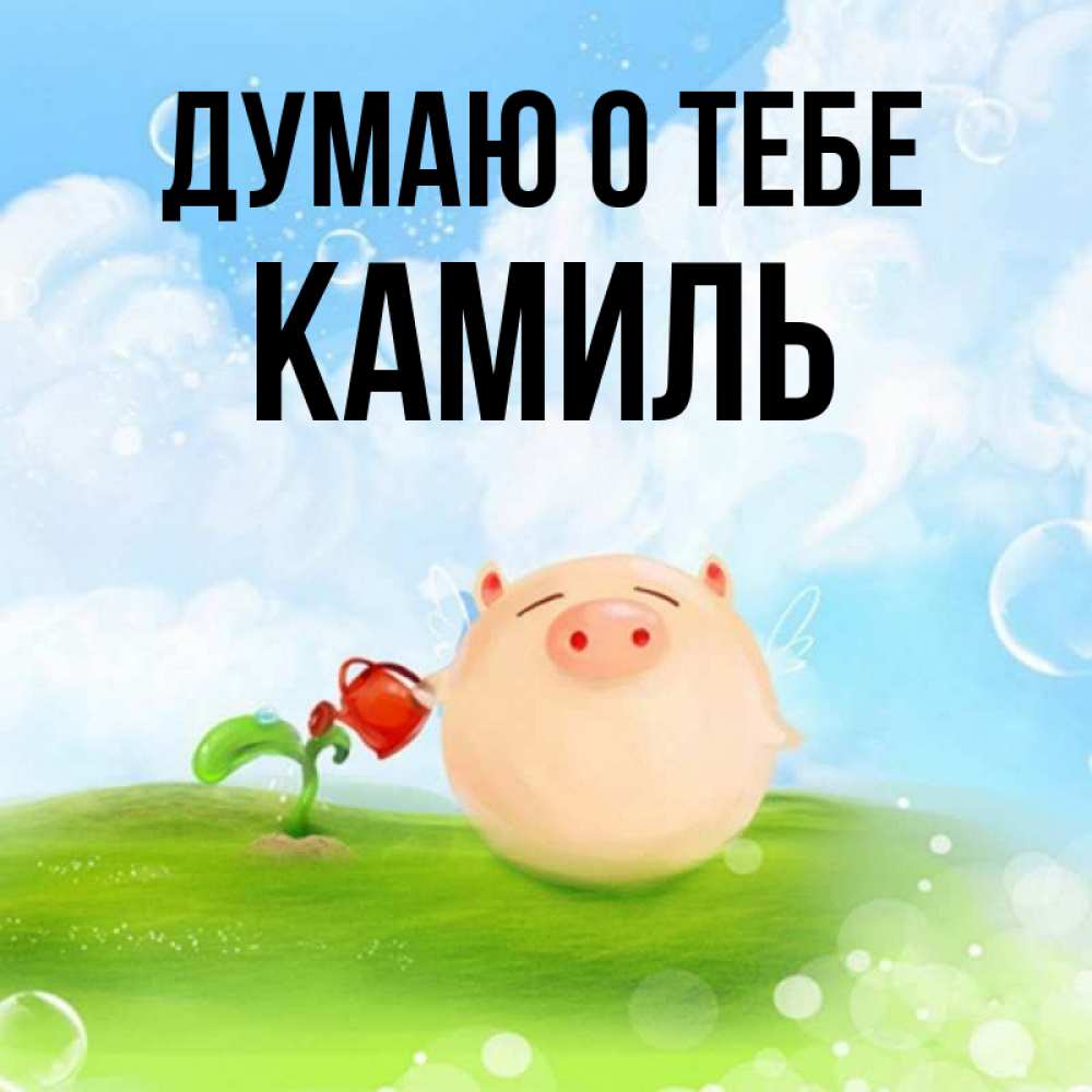 Открытка на каждый день с именем, Камиль Думаю о тебе позитивная свинюшка Прикольная открытка с пожеланием онлайн скачать бесплатно 