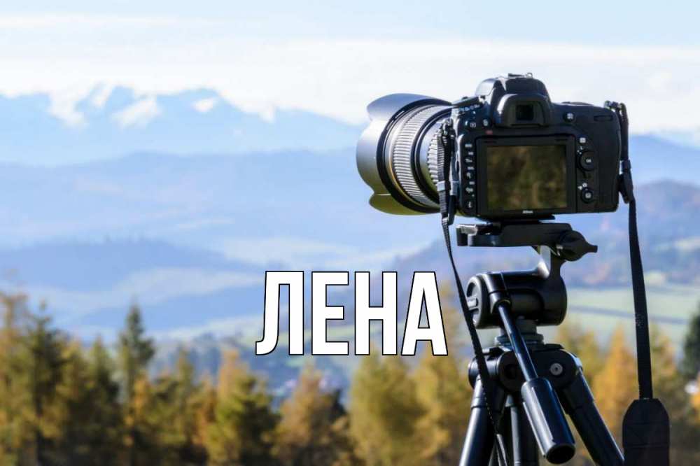Открытка на каждый день с именем, Лена Главная с днем фотографа Прикольная открытка с пожеланием онлайн скачать бесплатно 