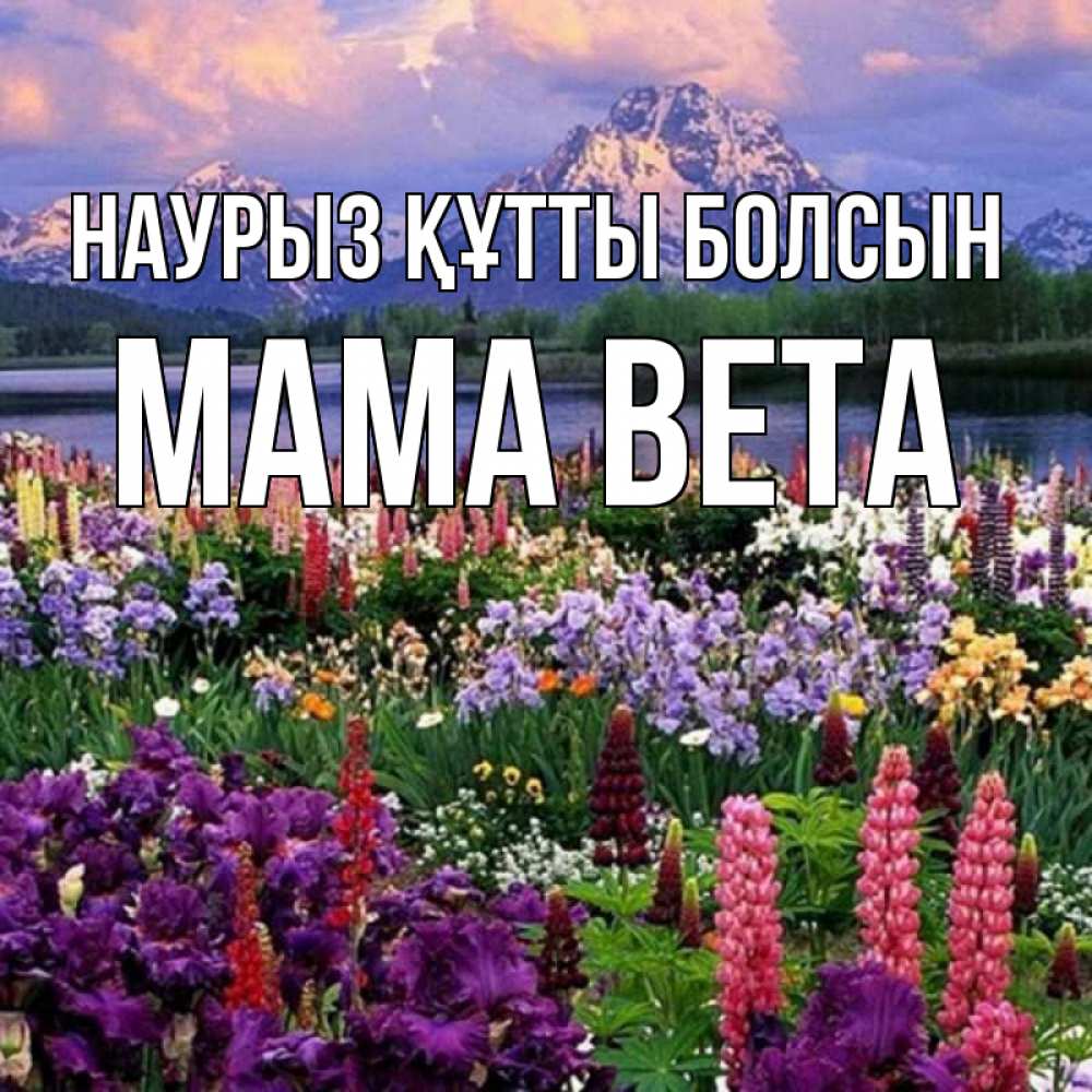 Открытка на каждый день с именем, Мама-Вета Наурыз құтты болсын наурыз Прикольная открытка с пожеланием онлайн скачать бесплатно 
