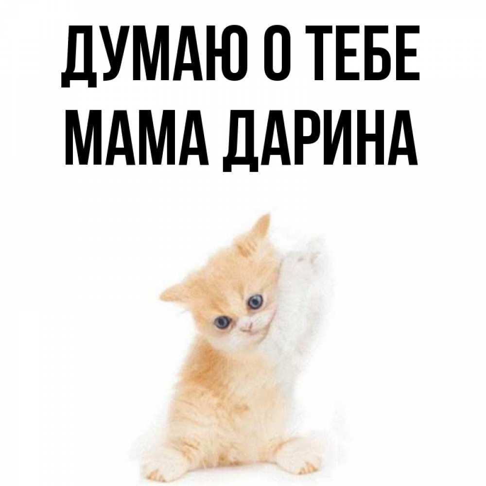 Открытка на каждый день с именем, Мама-Дарина Думаю о тебе зверушки и милота Прикольная открытка с пожеланием онлайн скачать бесплатно 