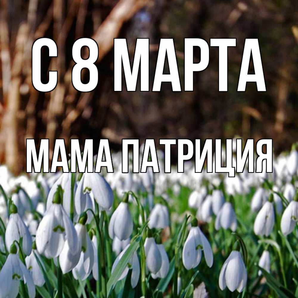 Открытка на каждый день с именем, Мама-Патриция С 8 марта с подснежниками 1 Прикольная открытка с пожеланием онлайн скачать бесплатно 