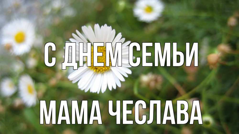 Открытка на каждый день с именем, Мама-Чеслава С днем семьи с днем семьи Прикольная открытка с пожеланием онлайн скачать бесплатно 